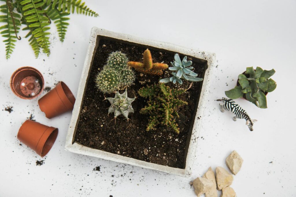 Top view of various potted succulents in soil surrounded by clay pots and stones, ideal for garden and plant themes.