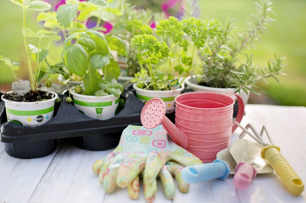 planting, spring, herbs