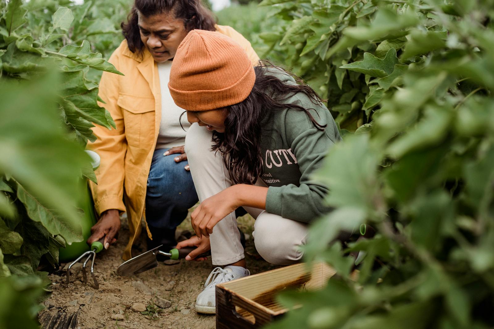 Two women engaged in gardening amidst vibrant leafy plants, fostering growth.