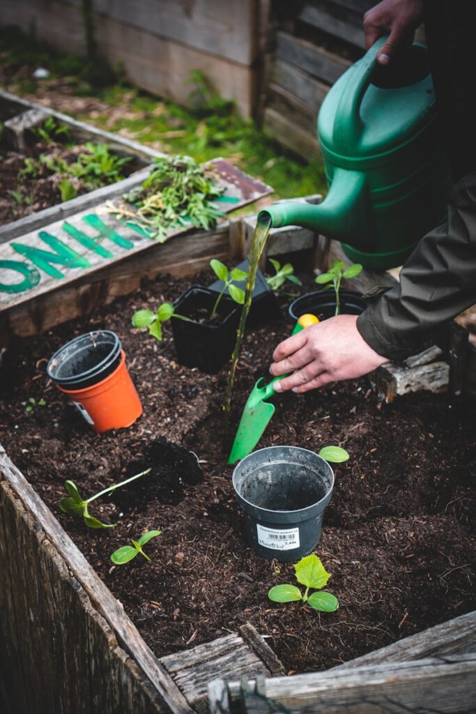 person holding green plastic shovel